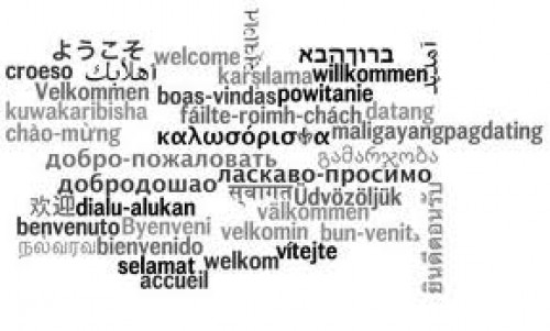 Welcome! - Please choose your language